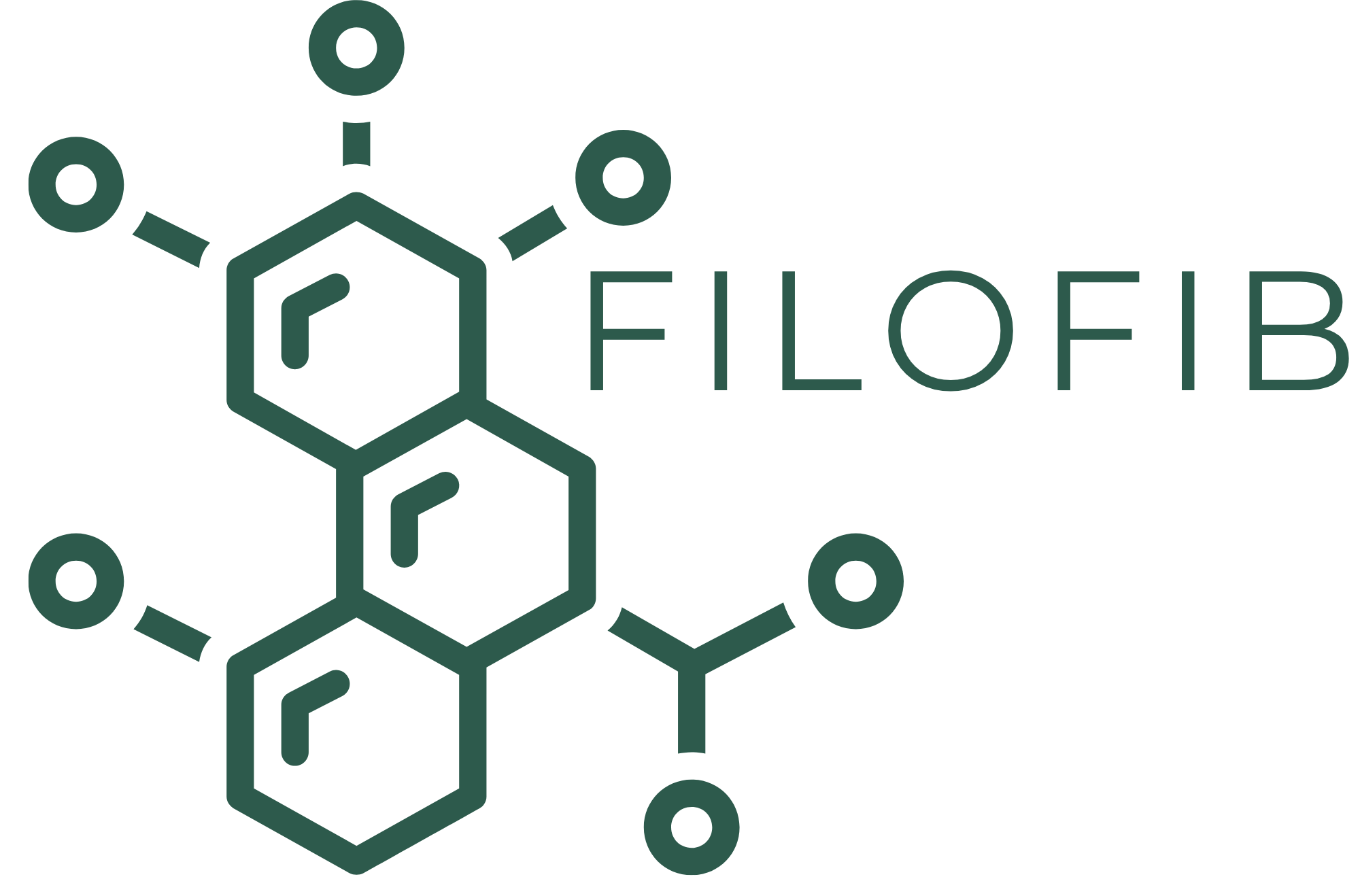 FloFIB Logo